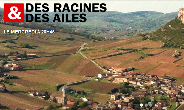 racines ailes bourgogne