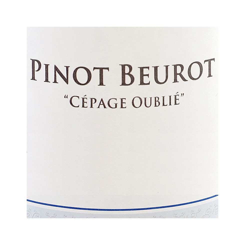 Pinot Beurot 2017