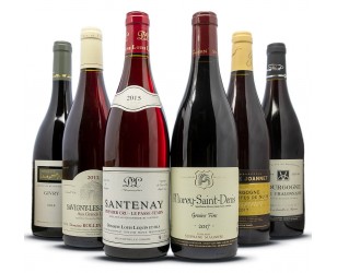 Burgundy red wine assortment