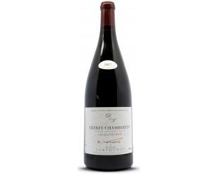 magnum vin gevrey chambertin Bourgogne