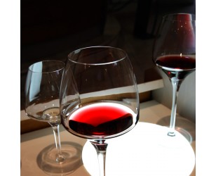 Dégustation n°1 : découverte des vins de Bourgogne