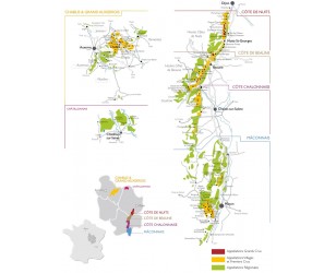 Dégustation n°2 : découverte de la Bourgogne Viticole