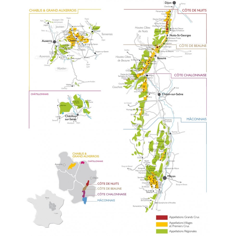 Dégustation n°1 : découverte des vins de Bourgogne