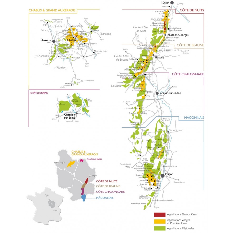 Dégustation n°1 : découverte des vins de Bourgogne Dégustation n°1 : découverte des vins de Bourgogne