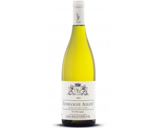 borgogna Aligoté
