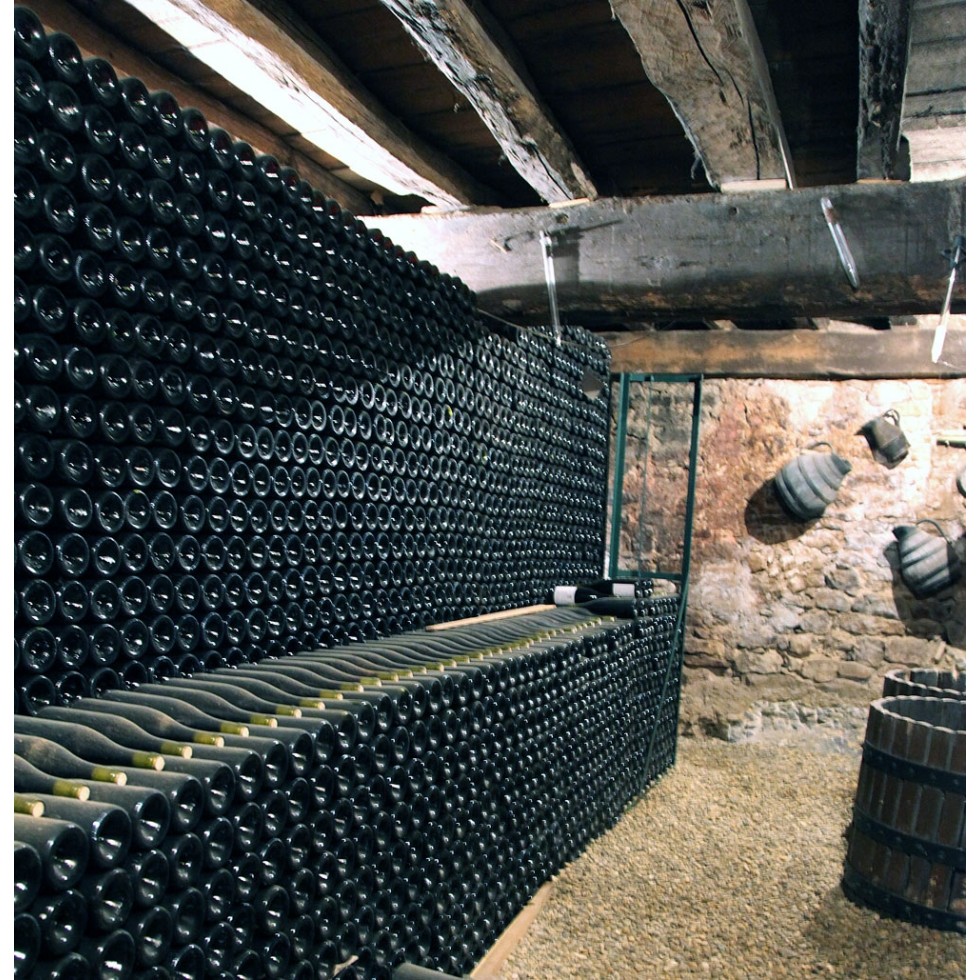 Dégustation n°1 : découverte des vins de Bourgogne Dégustation n°1 : découverte des vins de Bourgogne