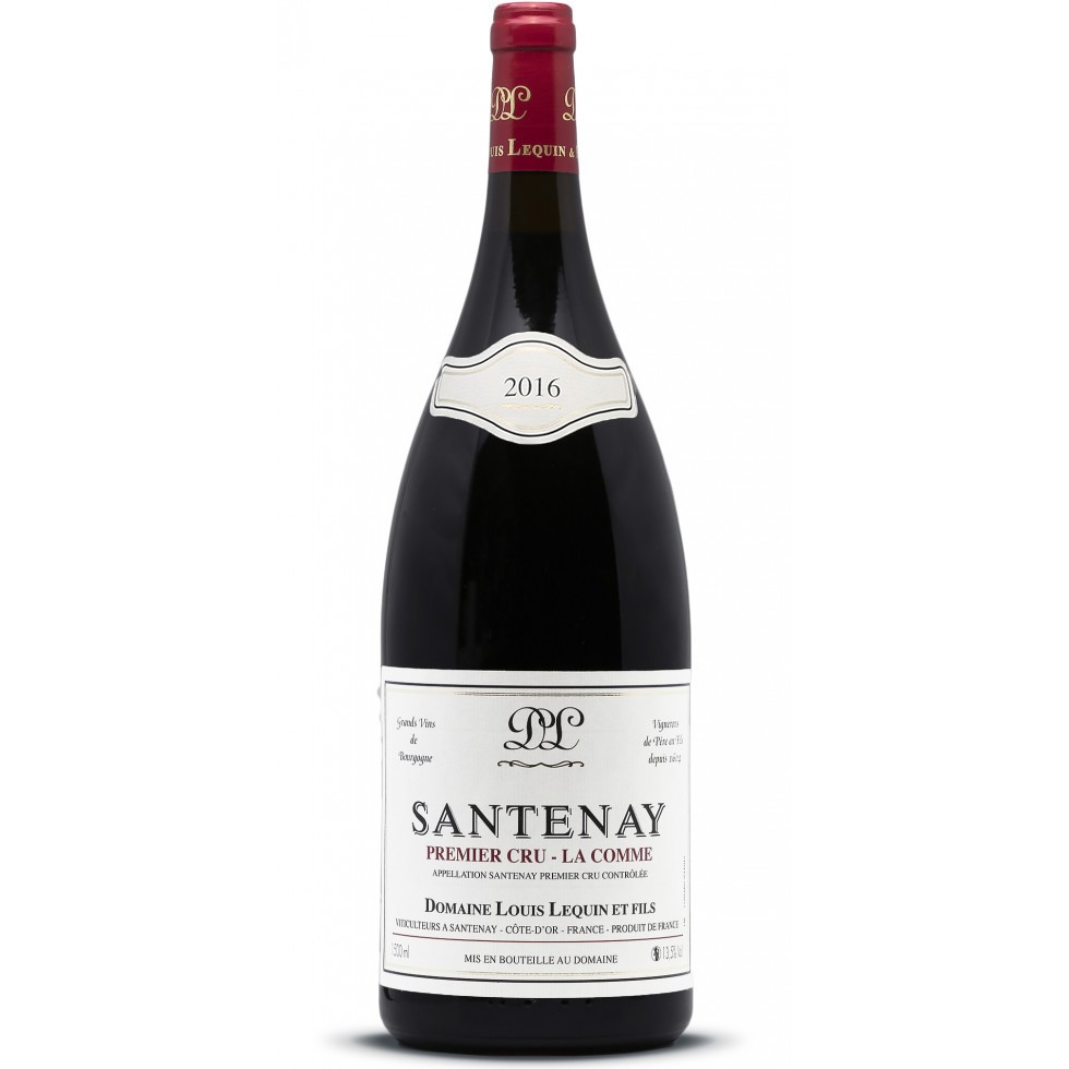 Magnum vin Santenay Bourgogne