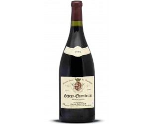 Vino Magnum Gevrey Chambertin Borgogna