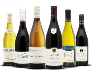 assortiment decouverte vin bourgogne