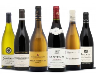 Burgundy wine assortment