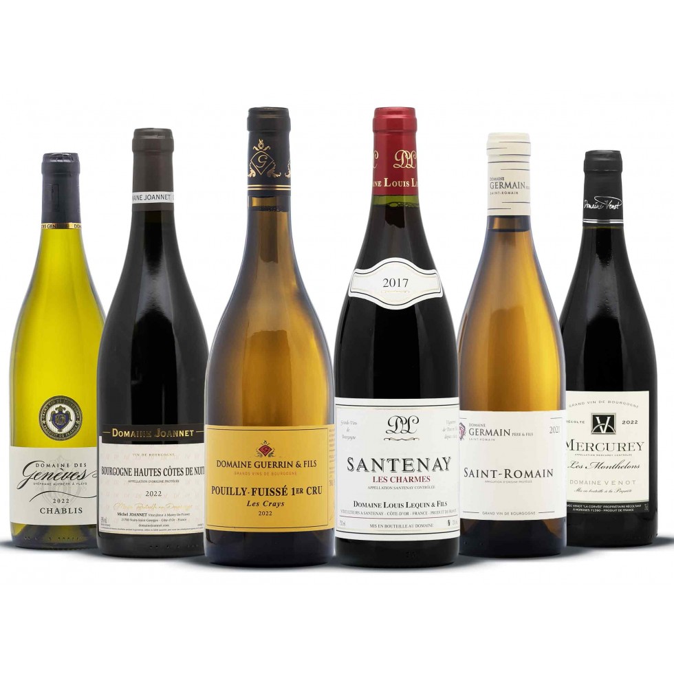 Burgundy wine assortment