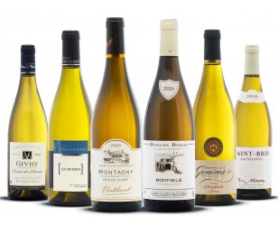 White wines from Burgundy