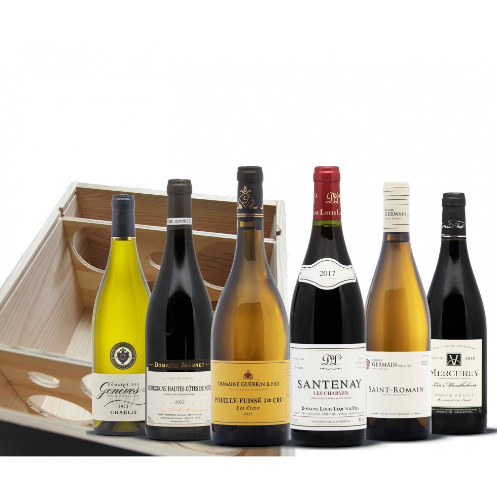 Burgundy Wine Discovery Box