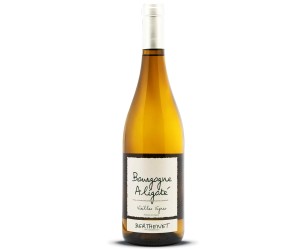 Burgund Aligoté günstig
