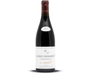 gevrey chambertin les jeunes rois