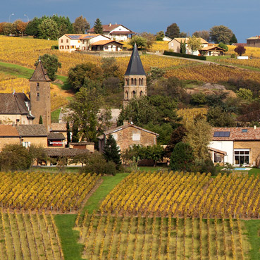 vente de vins du maconnais