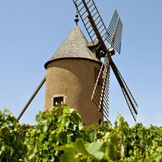 Achat Beaujolais 2022 ligne - Moulin Grand vin à - du Rottiers Vent en