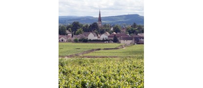 Criots Bâtard Montrachet