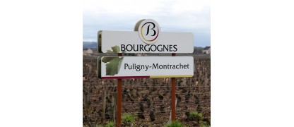 Puligny Montrachet