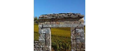 Savigny Les Beaune