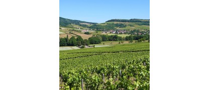 Bourgogne Côte Chalonnaise